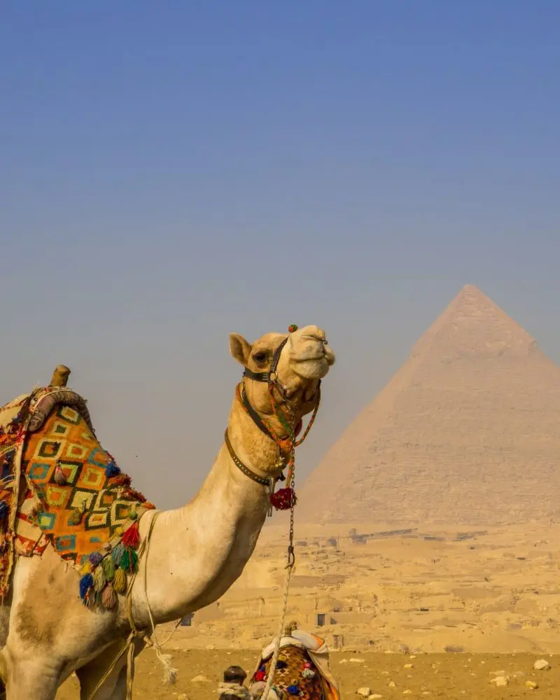 Joyas de Egipto Milenario