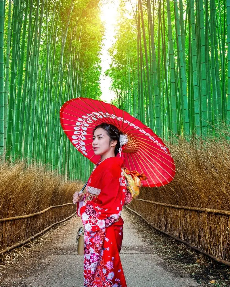 Japón para todos