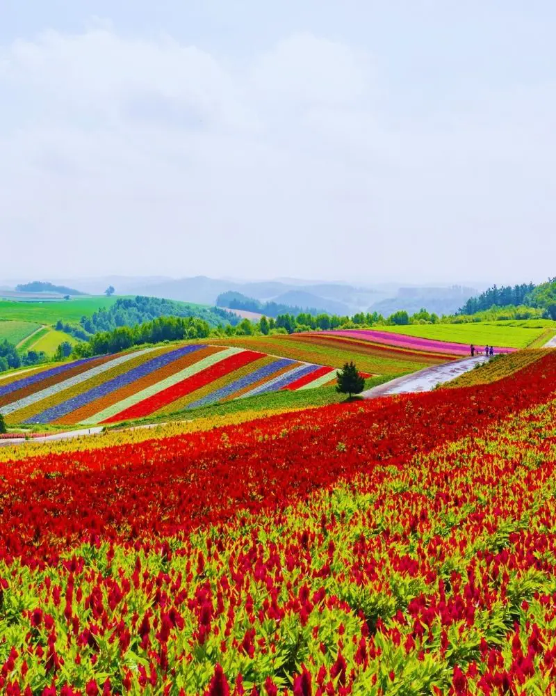Hokkaido, Tesoros del Norte